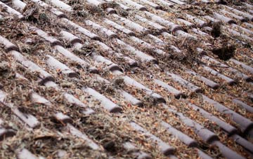 Penzance roof cleaning companies